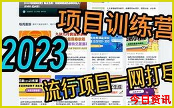 新澳门资料大全正版资料